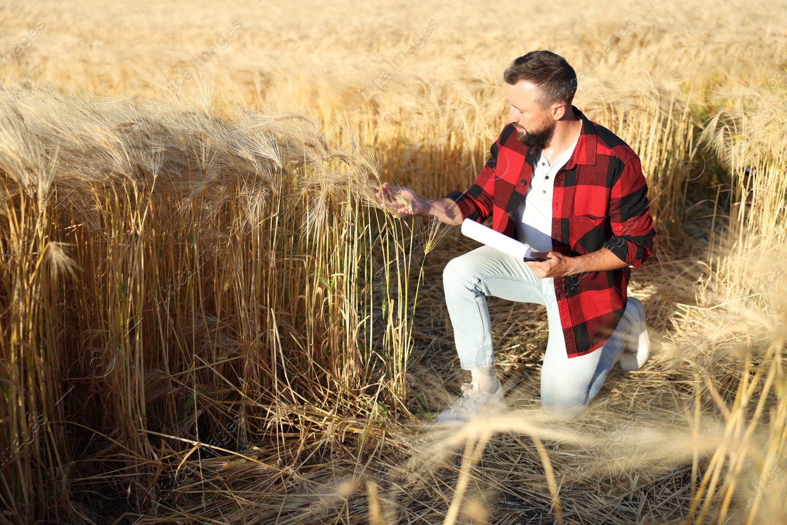 Farmer with clipboard in field of ripe wheat outdoors, space for text Photo of Farmer with clipboard in field of ripe wheat outdoors, space for text