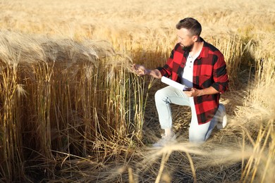 Photo of Farmer with clipboard in field of ripe wheat outdoors, space for text