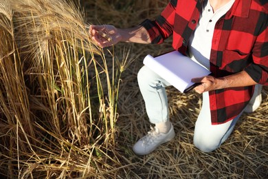 Photo of Farmer with clipboard in field of ripe wheat outdoors, closeup