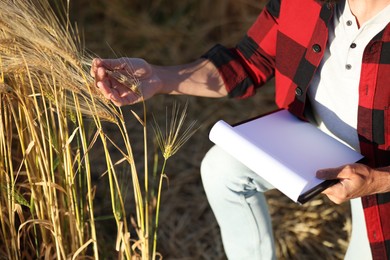 Photo of Farmer with clipboard in field of ripe wheat outdoors, closeup