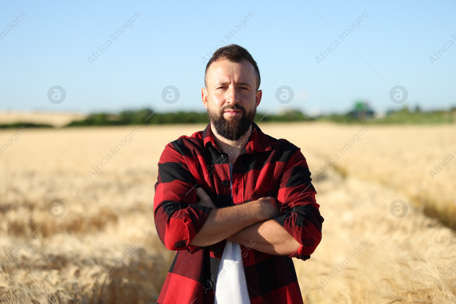 Farmer in field with ripe wheat outdoors Photo of Farmer in field with ripe wheat outdoors