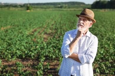 Photo of Senior farmer in field of unripe soy outdoors, space for text