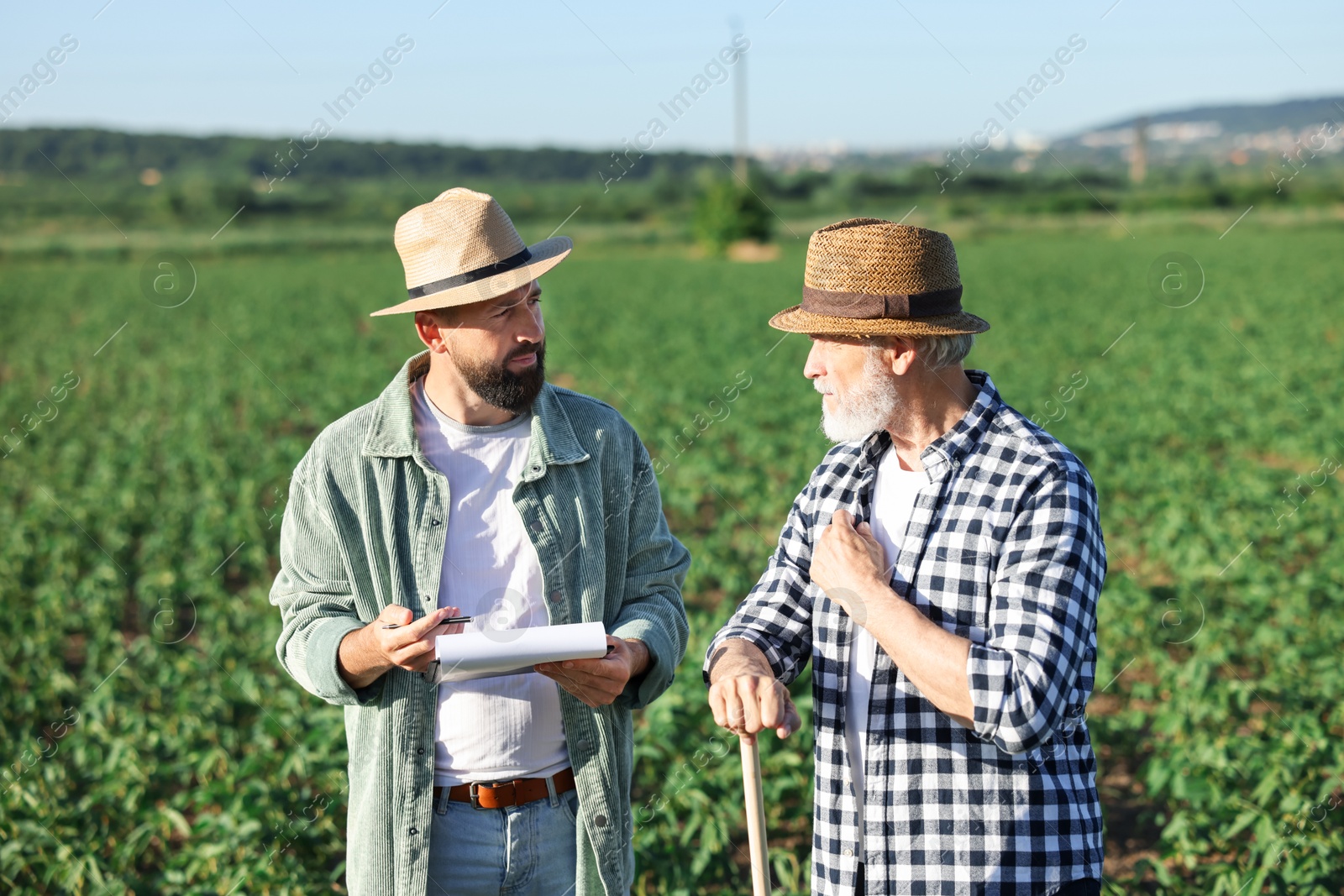 Photo of Farmers in field of unripe soy outdoors