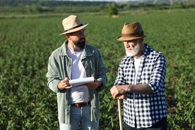 Photo of Farmers in field of unripe soy outdoors