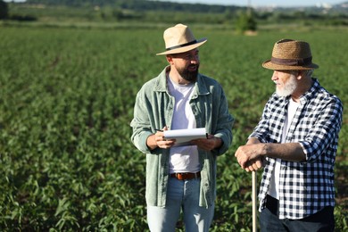 Photo of Farmers in field of unripe soy outdoors, space for text
