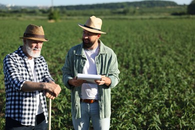 Photo of Farmers in field of unripe soy outdoors, space for text