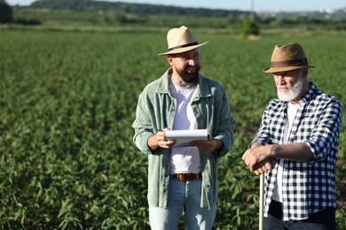Photo of Farmers in field of unripe soy outdoors, space for text