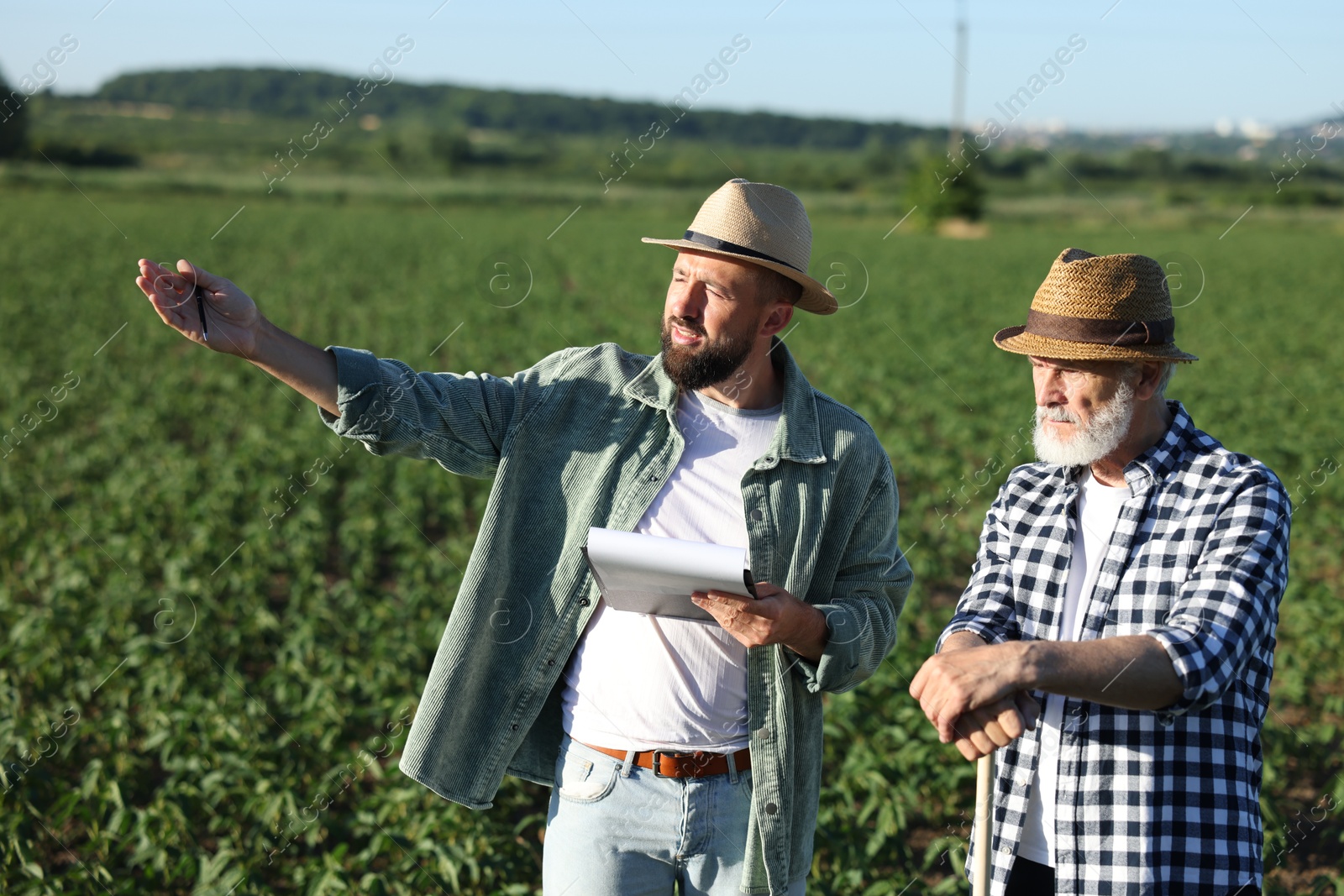 Farmers in field of unripe soy outdoors Photo of Farmers in field of unripe soy outdoors