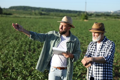 Photo of Farmers in field of unripe soy outdoors