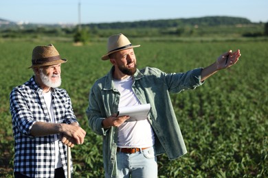 Photo of Farmers in field of unripe soy outdoors