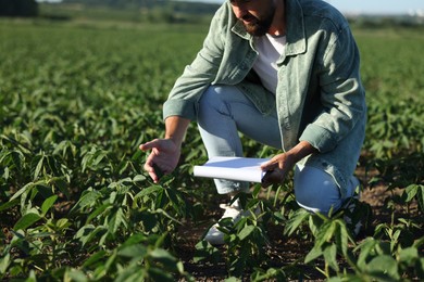Photo of Farmer with clipboard in field of unripe soy outdoors, closeup