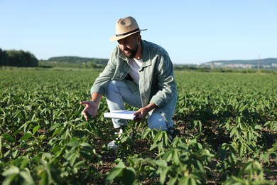 Photo of Farmer with clipboard in field of unripe soy outdoors