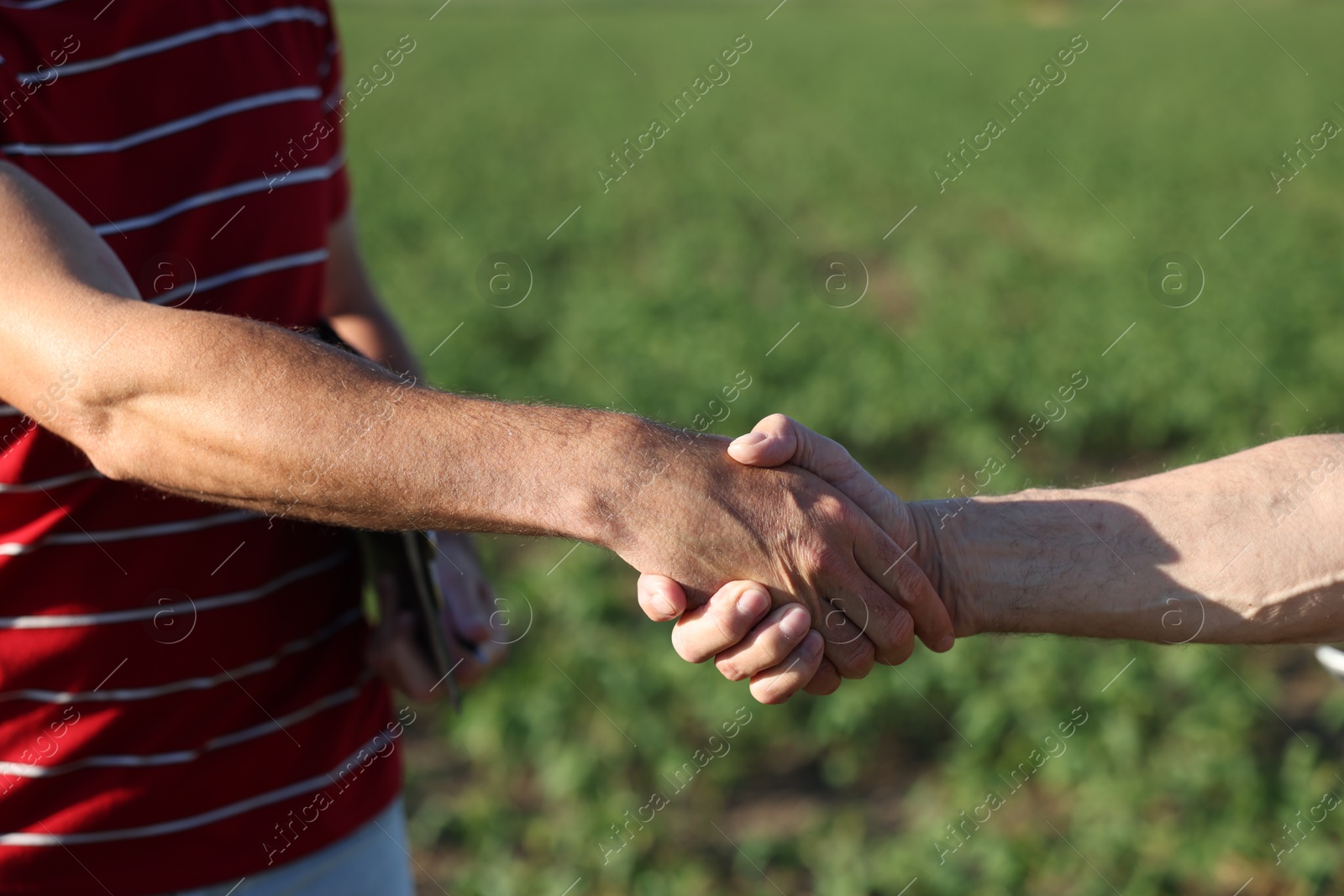 Farmers shaking hands in field outdoors, closeup Photo of Farmers shaking hands in field outdoors, closeup