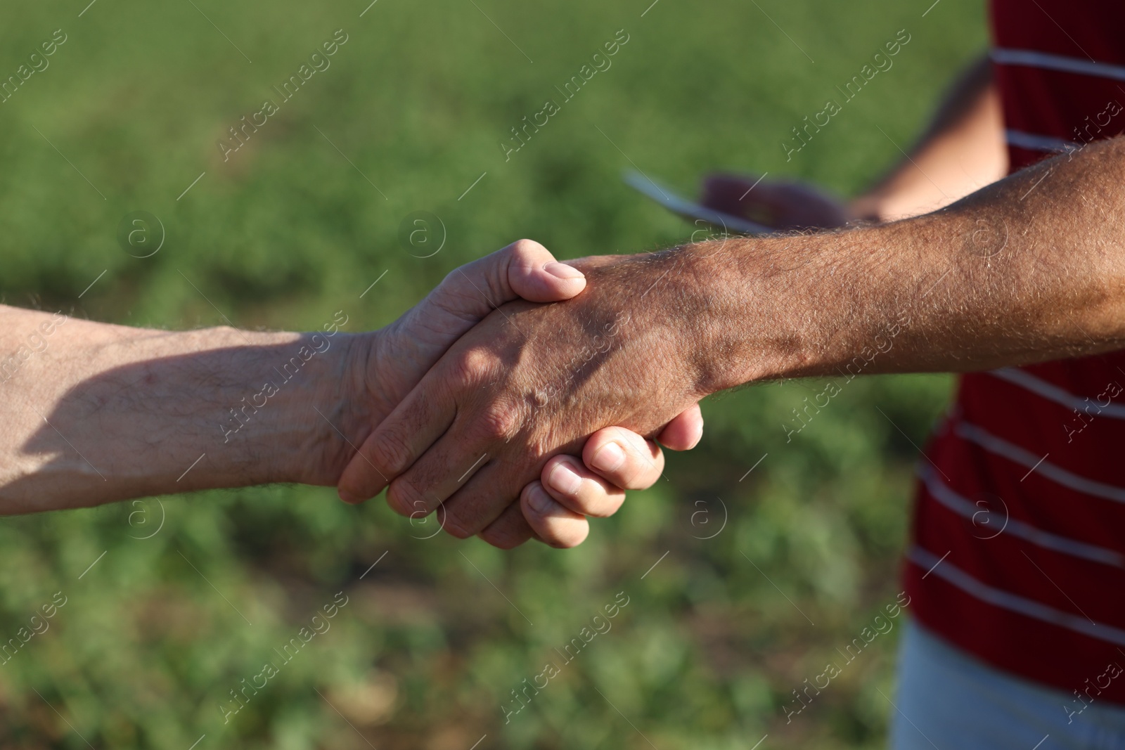 Farmers shaking hands in field outdoors, closeup Photo of Farmers shaking hands in field outdoors, closeup