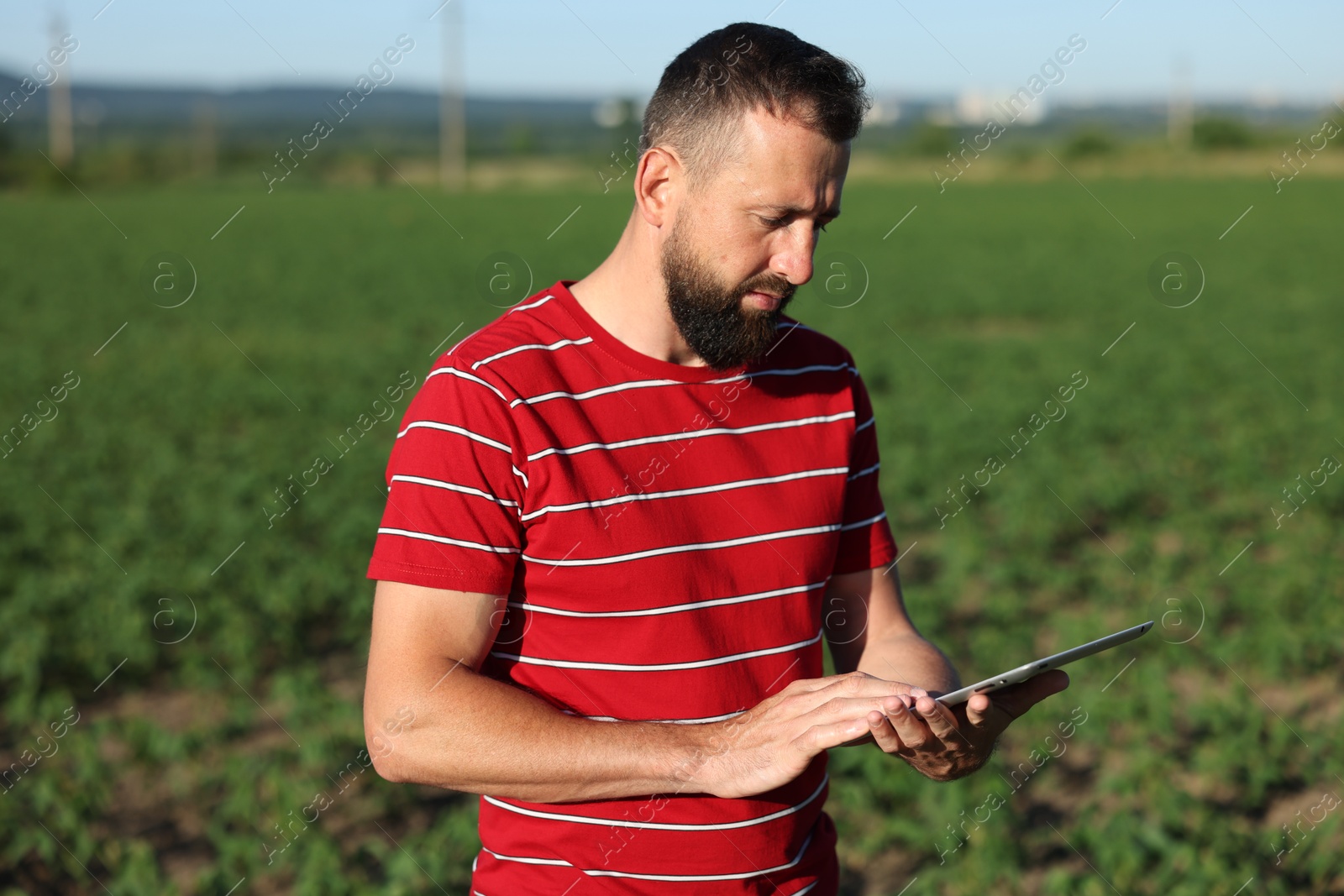 Farmer with tablet in field of unripe soy outdoors Photo of Farmer with tablet in field of unripe soy outdoors