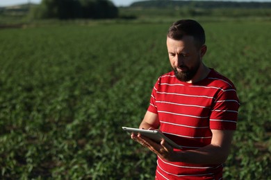 Photo of Farmer with tablet in field of unripe soy outdoors, space for text