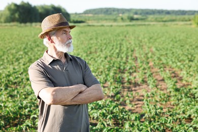 Photo of Senior farmer in field of unripe soy outdoors, space for text