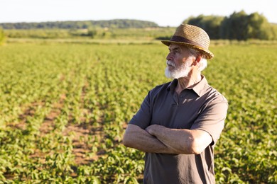 Photo of Senior farmer in field of unripe soy outdoors, space for text