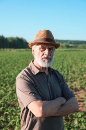 Photo of Senior farmer in field of unripe soy outdoors