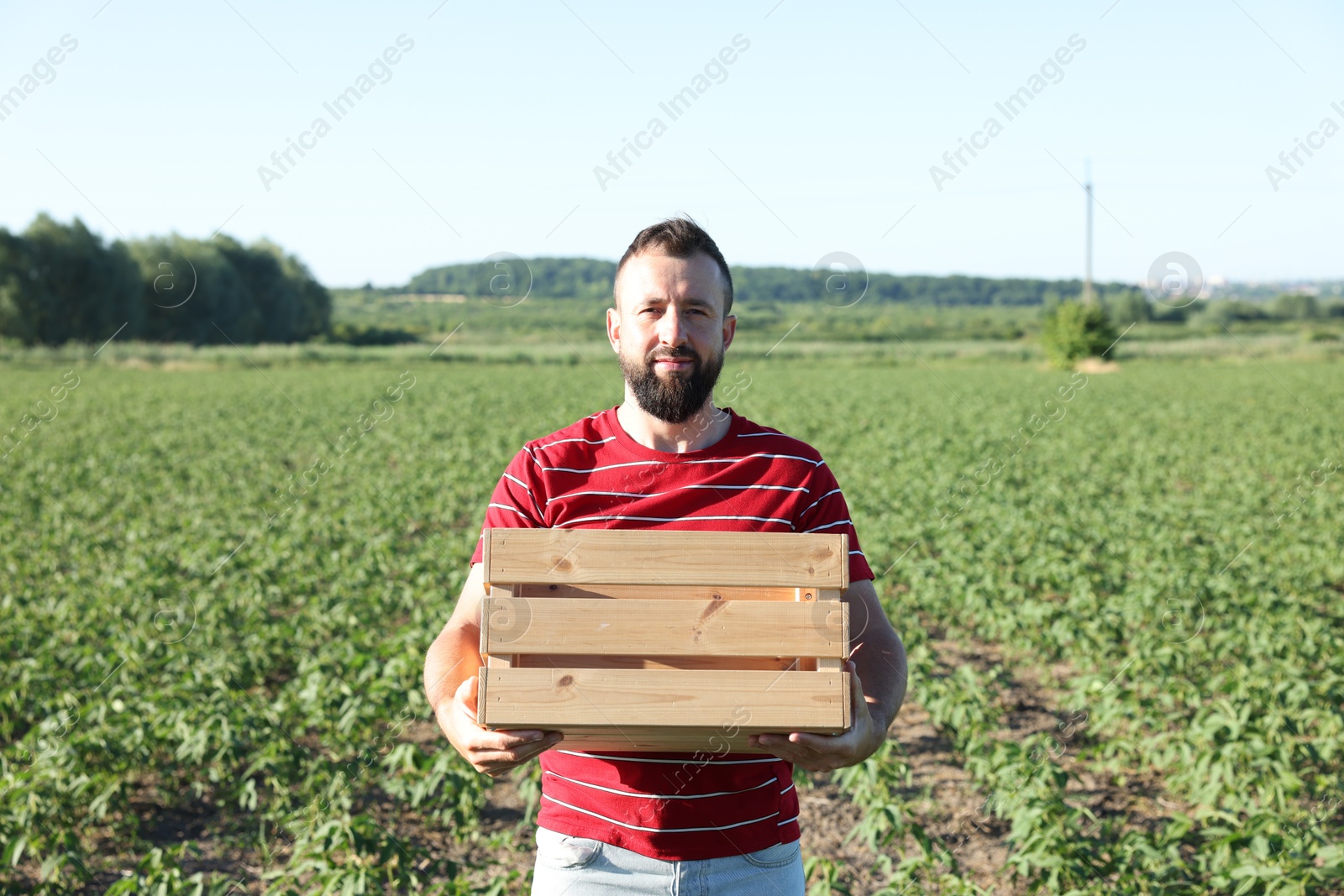 Photo of Farmer with wooden crate in field of unripe soy outdoors