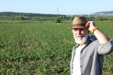 Photo of Senior farmer in field of unripe soy outdoors, space for text