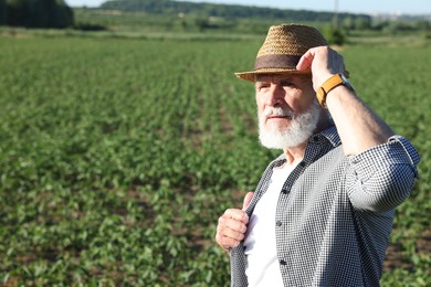 Photo of Senior farmer in field of unripe soy outdoors, space for text
