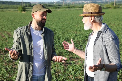 Photo of Farmers in field of unripe soy outdoors