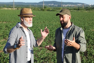 Photo of Farmers in field of unripe soy outdoors