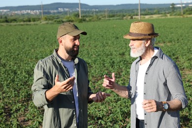 Photo of Farmers in field of unripe soy outdoors