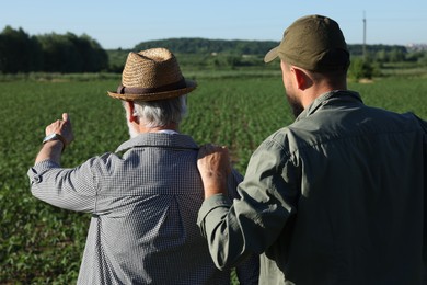 Photo of Farmers in field of unripe soy outdoors, back view
