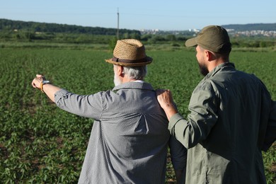 Photo of Farmers in field of unripe soy outdoors, back view