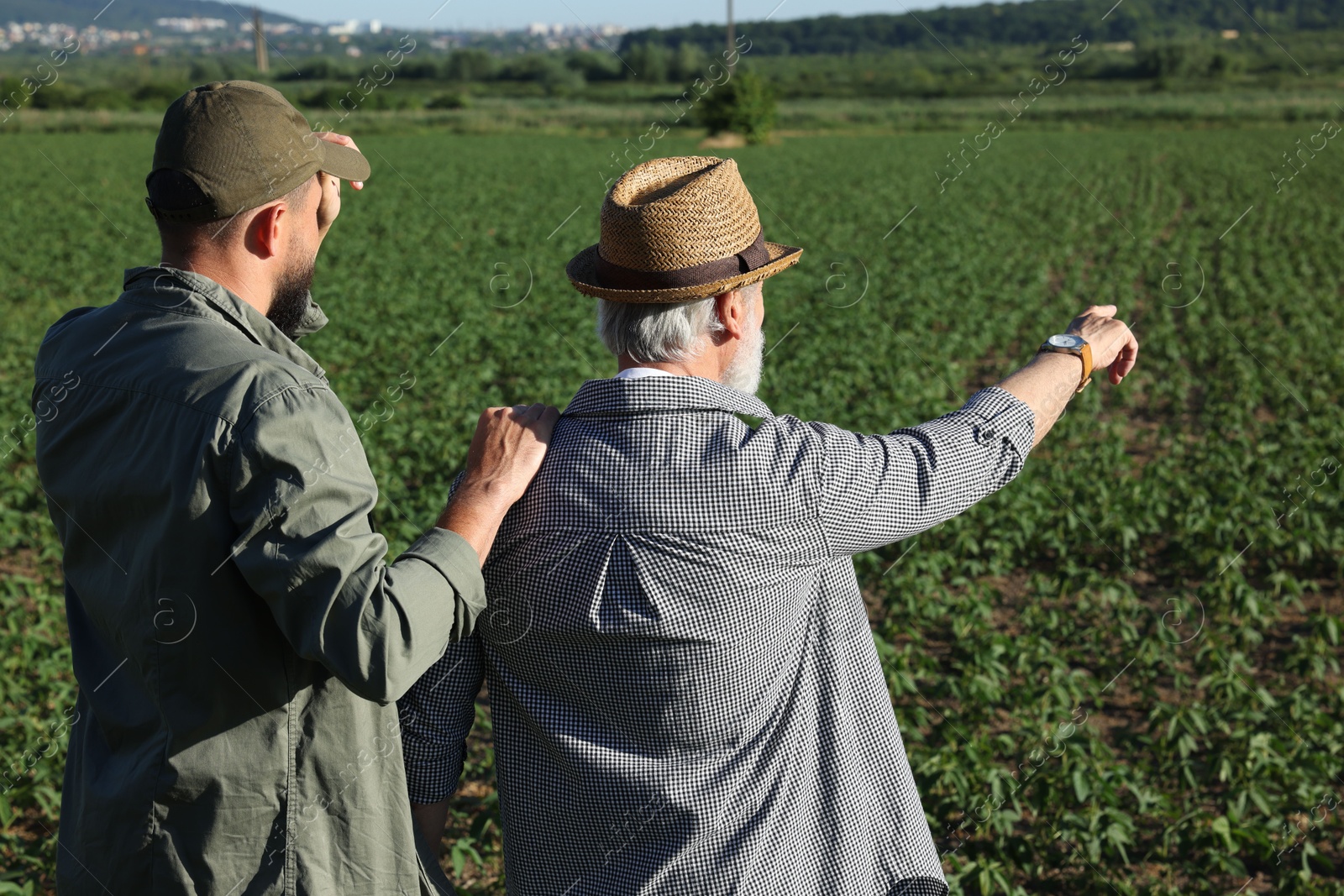 Photo of Farmers in field of unripe soy outdoors, back view