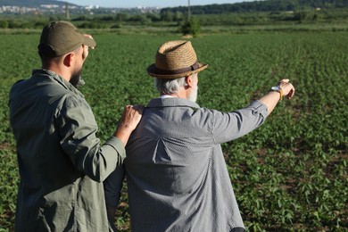 Photo of Farmers in field of unripe soy outdoors, back view