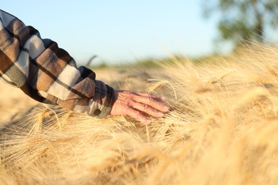 Photo of Senior man touching spikelets of ripe wheat in field outdoors, closeup