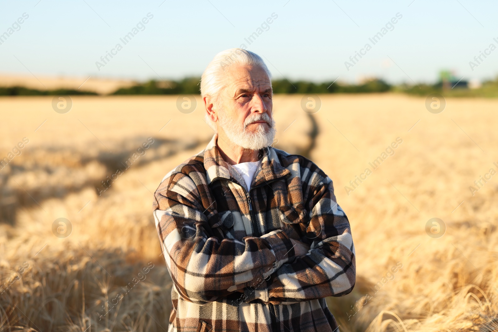 Photo of Senior farmer in field with ripe wheat outdoors