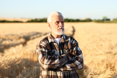 Photo of Senior farmer in field with ripe wheat outdoors