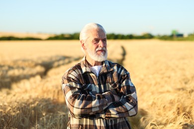 Photo of Senior farmer in field with ripe wheat outdoors