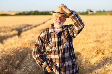 Photo of Senior farmer in field with ripe wheat outdoors