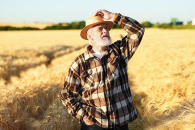 Photo of Senior farmer in field with ripe wheat outdoors