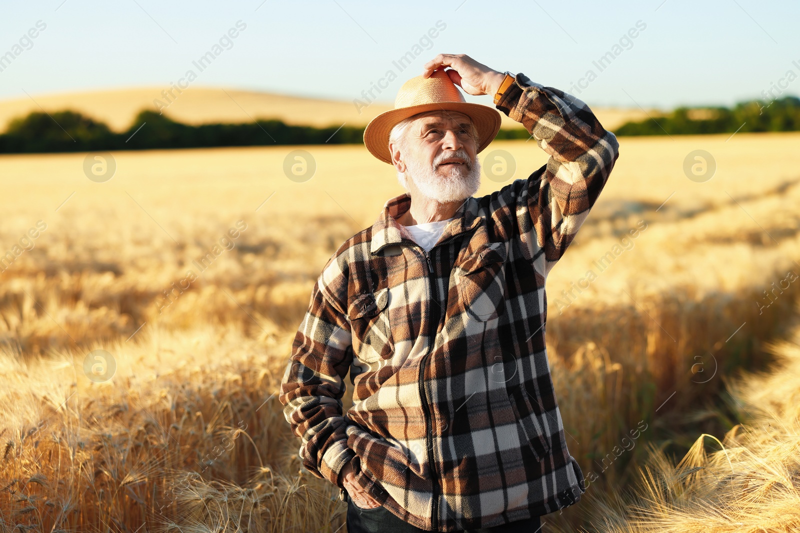 Photo of Senior farmer in field with ripe wheat outdoors