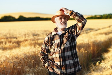 Photo of Senior farmer in field with ripe wheat outdoors