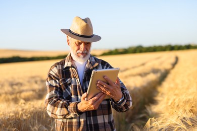 Photo of Senior farmer with tablet in field of ripe wheat outdoors