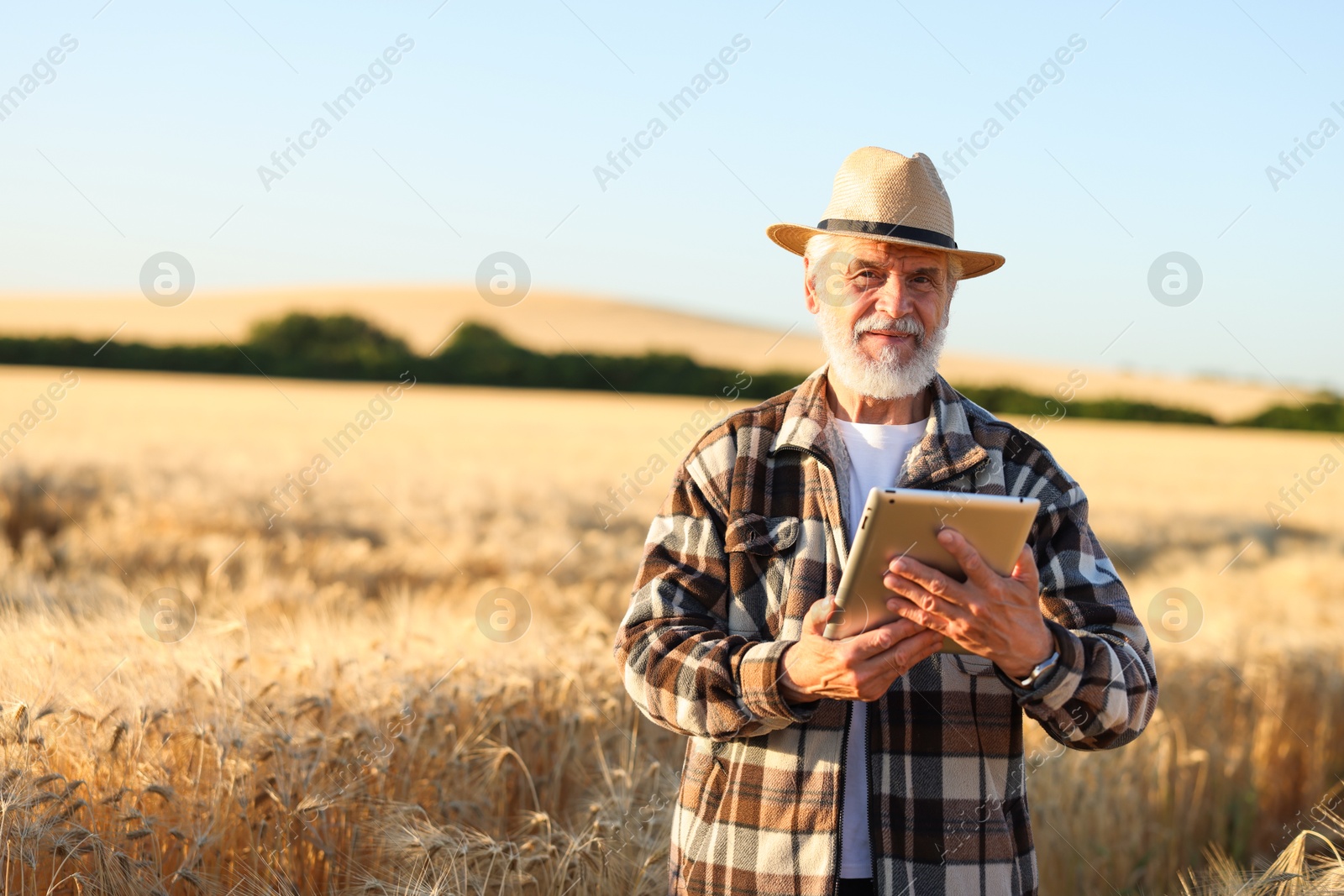Photo of Senior farmer with tablet in field of ripe wheat outdoors, space for text