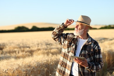 Photo of Senior farmer with tablet in field of ripe wheat outdoors, space for text