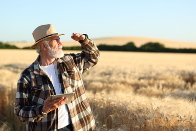 Photo of Senior farmer with tablet in field of ripe wheat outdoors, space for text