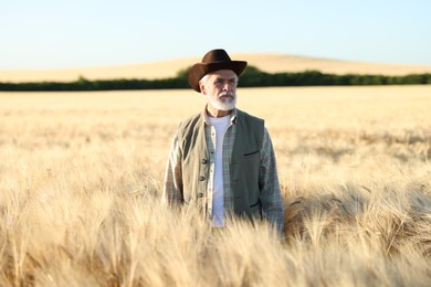 Photo of Senior farmer in field with ripe wheat outdoors