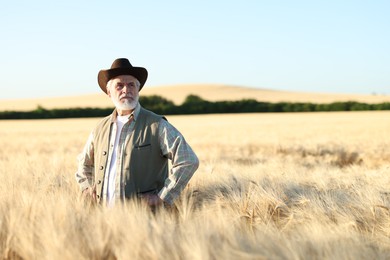 Photo of Senior farmer in field with ripe wheat outdoors, space for text