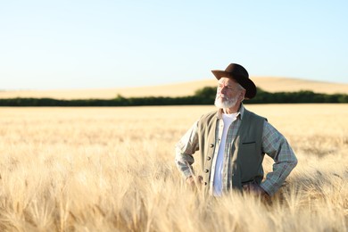 Photo of Senior farmer in field with ripe wheat outdoors, space for text
