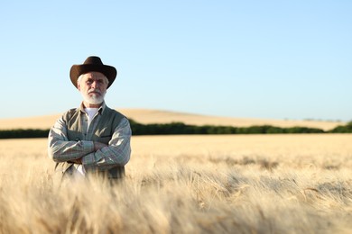 Photo of Senior farmer in field with ripe wheat outdoors, space for text