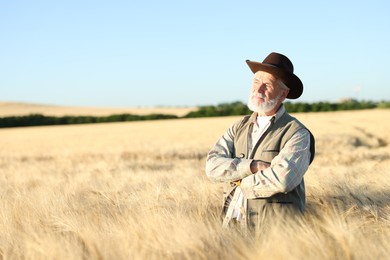 Photo of Senior farmer in field with ripe wheat outdoors, space for text